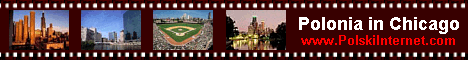 Catalog of Businesses in Chicago